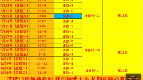 香港马会，赛程安排， 115354